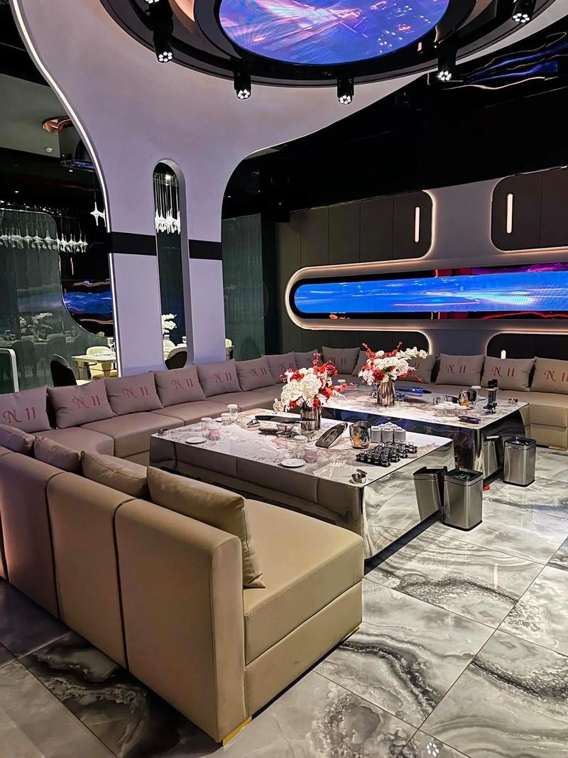 沧州商务ktv全新模式-盐山县ktv预定